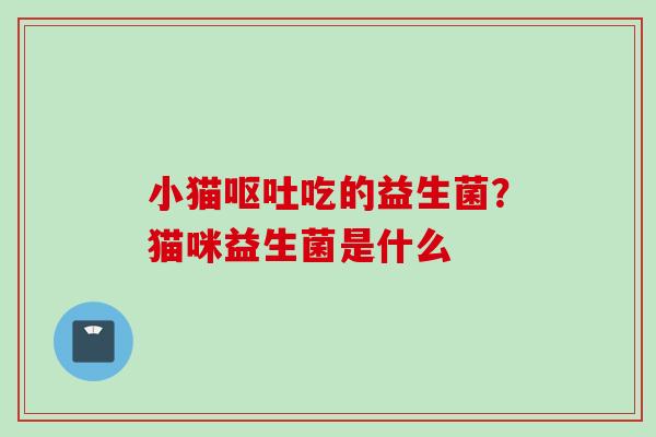 小猫吃的益生菌?猫咪益生菌是什么 小猫吃的益生菌?猫咪益生菌是什么