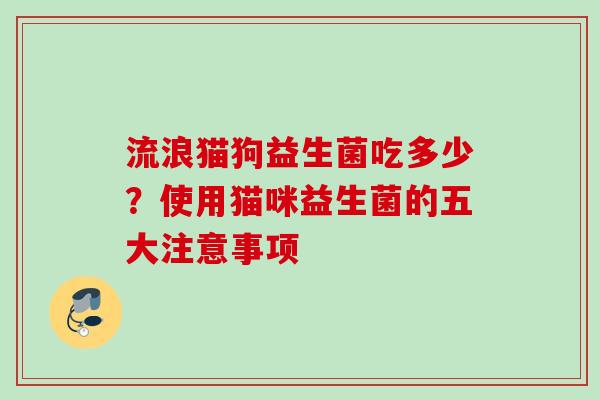 流浪猫狗益生菌吃多少？使用猫咪益生菌的五大注意事项