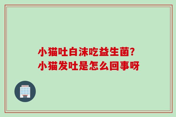 小猫吐白沫吃益生菌?小猫发吐是怎么回事呀 小猫吐白沫吃益生菌?小猫发吐是怎么回事呀