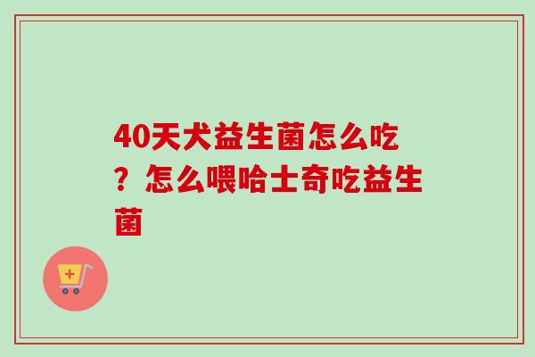 40天犬益生菌怎么吃?怎么喂哈士奇吃益生菌 40天犬益生菌怎么吃?怎么喂哈士奇吃益生菌