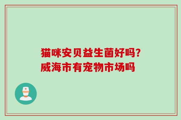 猫咪安贝益生菌好吗？威海市有宠物市场吗