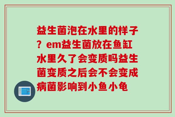 益生菌泡在水里的样子?em益生菌放在鱼缸水里久了会变质吗益生菌变质之后会不会变成菌影响到小鱼小龟 益生菌泡在水里的样子?em益生菌放在鱼缸水里久了会变质吗益生菌变质之后会不会变成菌影响到小鱼小龟