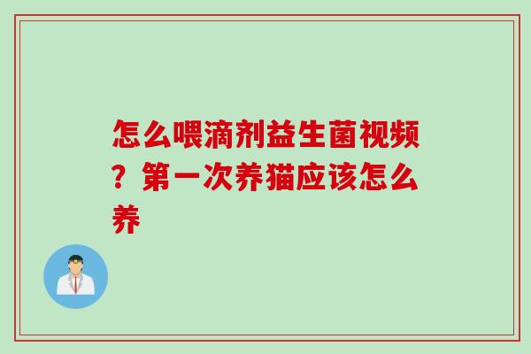 怎么喂滴剂益生菌视频？第一次养猫应该怎么养