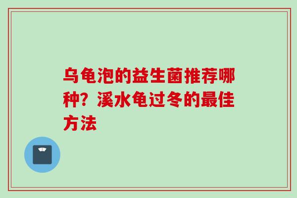 乌龟泡的益生菌推荐哪种？溪水龟过冬的佳方法