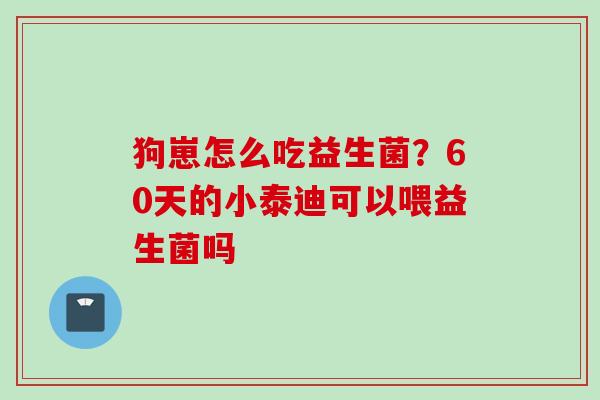 狗崽怎么吃益生菌?60天的小泰迪可以喂益生菌吗 狗崽怎么吃益生菌?60天的小泰迪可以喂益生菌吗