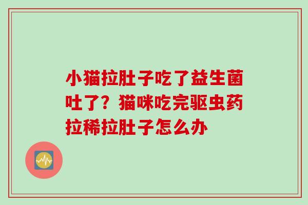 小猫拉肚子吃了益生菌吐了？猫咪吃完驱虫药拉稀拉肚子怎么办