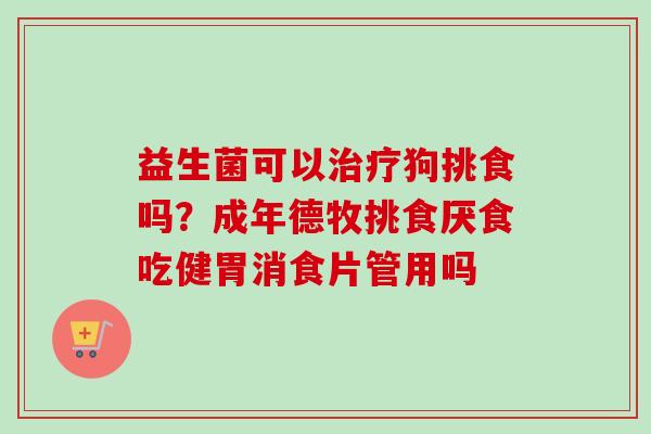 益生菌可以狗挑食吗?成年德牧挑食厌食吃健胃消食片管用吗 益生菌可以狗挑食吗?成年德牧挑食厌食吃健胃消食片管用吗