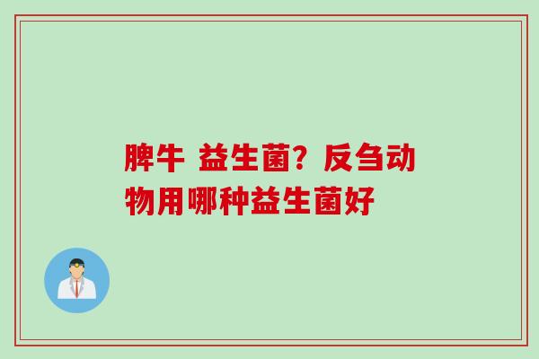 脾牛 益生菌？反刍动物用哪种益生菌好