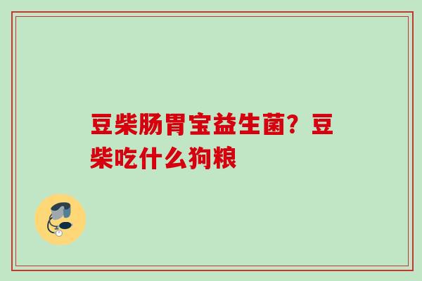 豆柴肠胃宝益生菌？豆柴吃什么狗粮