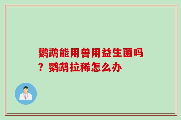 鹦鹉能用兽用益生菌吗?鹦鹉拉稀怎么办 鹦鹉能用兽用益生菌吗?鹦鹉拉稀怎么办