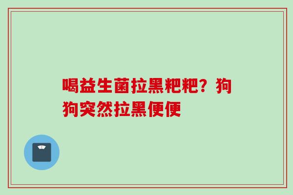 喝益生菌拉黑粑粑？狗狗突然拉黑便便