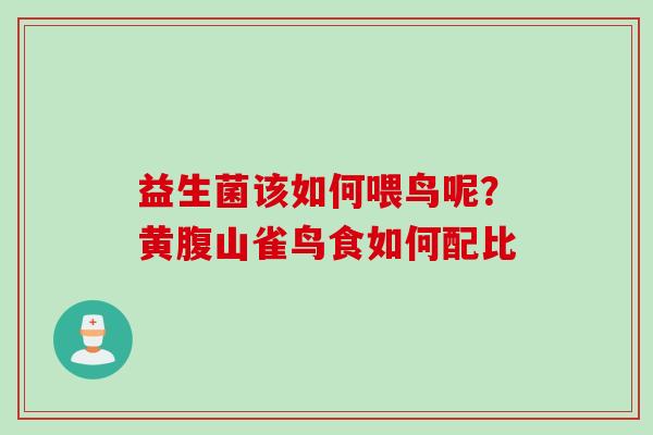 益生菌该如何喂鸟呢?黄腹山雀鸟食如何配比 益生菌该如何喂鸟呢?黄腹山雀鸟食如何配比