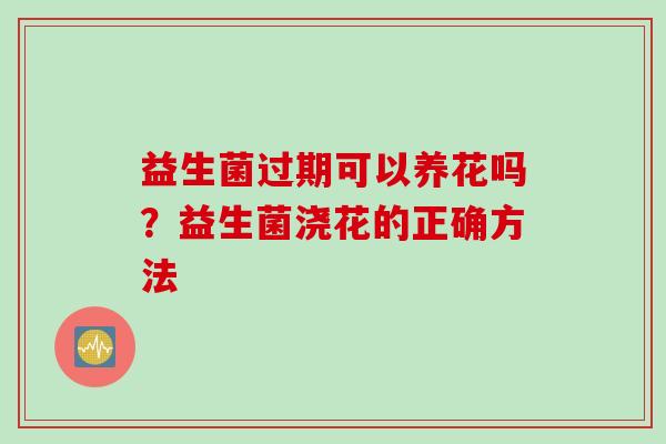 益生菌过期可以养花吗?益生菌浇花的正确方法 益生菌过期可以养花吗?益生菌浇花的正确方法