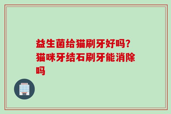 益生菌给猫刷牙好吗?猫咪牙结石刷牙能消除吗 益生菌给猫刷牙好吗?猫咪牙结石刷牙能消除吗