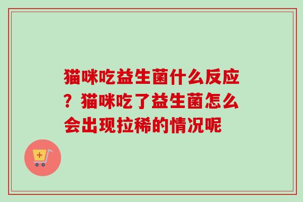 猫咪吃益生菌什么反应？猫咪吃了益生菌怎么会出现拉稀的情况呢