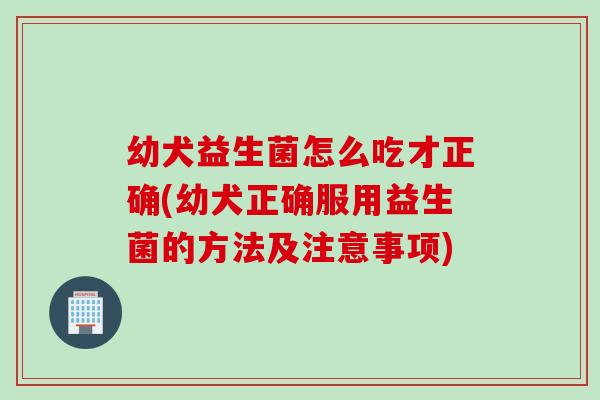 幼犬益生菌怎么吃才正确(幼犬正确服用益生菌的方法及注意事项) 幼犬益生菌怎么吃才正确(幼犬正确服用益生菌的方法及注意事项)