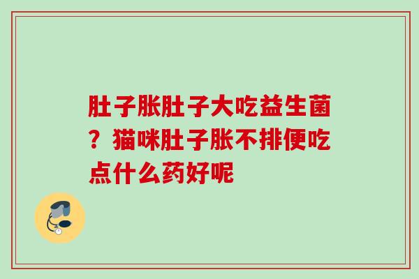 肚子胀肚子大吃益生菌？猫咪肚子胀不排便吃点什么药好呢