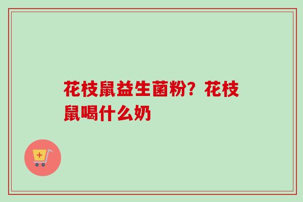 花枝鼠益生菌粉?花枝鼠喝什么奶 花枝鼠益生菌粉?花枝鼠喝什么奶