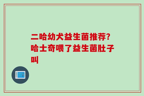 二哈幼犬益生菌推荐？哈士奇喂了益生菌肚子叫
