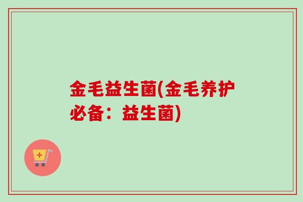 金毛益生菌(金毛养护必备：益生菌)