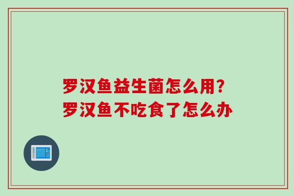 罗汉鱼益生菌怎么用？罗汉鱼不吃食了怎么办