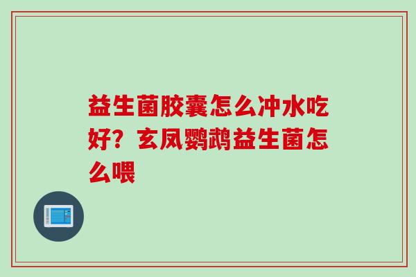 益生菌胶囊怎么冲水吃好？玄凤鹦鹉益生菌怎么喂