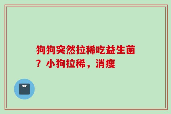 狗狗突然拉稀吃益生菌？小狗拉稀，消瘦