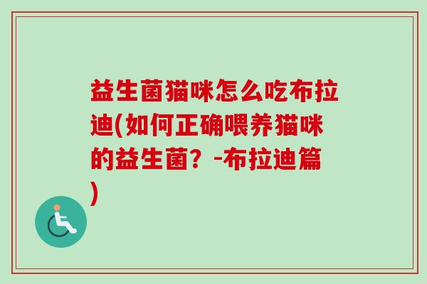 益生菌猫咪怎么吃布拉迪(如何正确喂养猫咪的益生菌？-布拉迪篇)