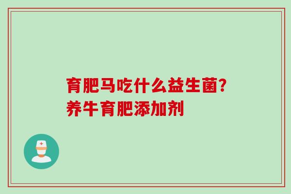 育肥马吃什么益生菌？养牛育肥添加剂