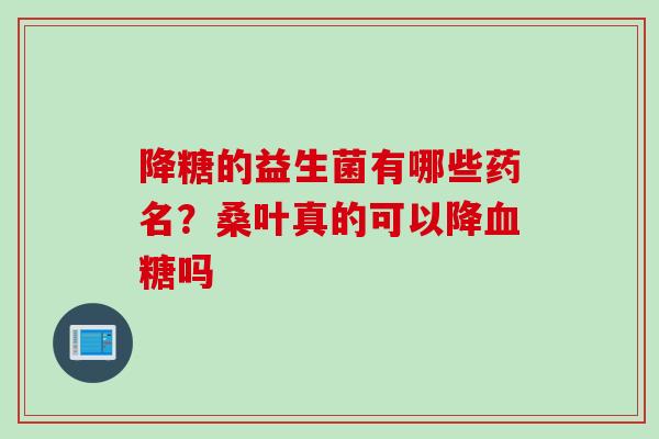 降糖的益生菌有哪些药名？桑叶真的可以降吗
