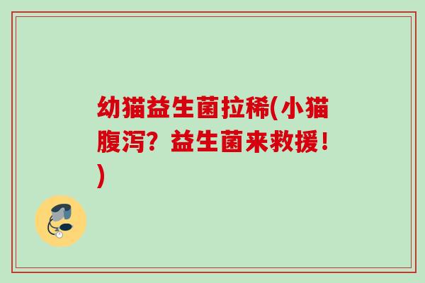 幼猫益生菌拉稀(小猫？益生菌来救援！)