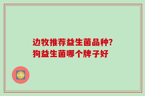 边牧推荐益生菌品种?狗益生菌哪个牌子好 边牧推荐益生菌品种?狗益生菌哪个牌子好