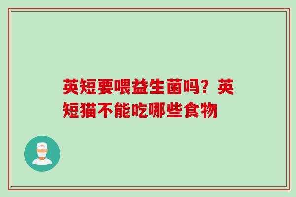英短要喂益生菌吗?英短猫不能吃哪些食物 英短要喂益生菌吗?英短猫不能吃哪些食物