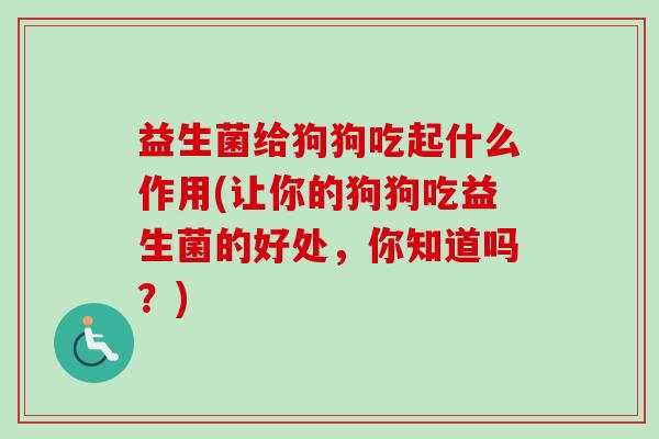 益生菌给狗狗吃起什么作用(让你的狗狗吃益生菌的好处，你知道吗？)