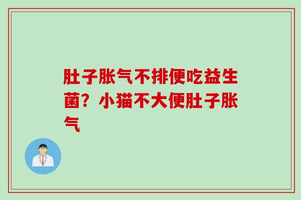 肚子不排便吃益生菌?小猫不大便肚子 肚子不排便吃益生菌?小猫不大便肚子