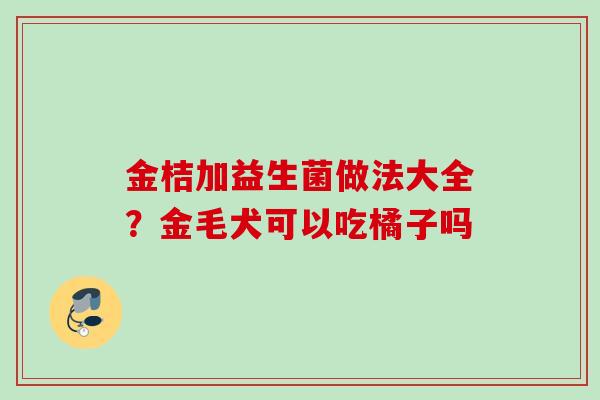 金桔加益生菌做法大全？金毛犬可以吃橘子吗