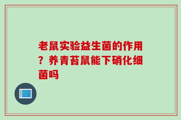 老鼠实验益生菌的作用?养青苔鼠能下硝化吗 老鼠实验益生菌的作用?养青苔鼠能下硝化吗