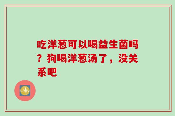 吃洋葱可以喝益生菌吗？狗喝洋葱汤了，没关系吧
