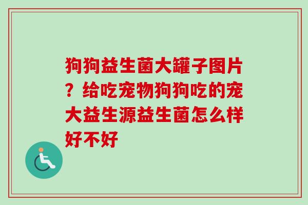 狗狗益生菌大罐子图片？给吃宠物狗狗吃的宠大益生源益生菌怎么样好不好
