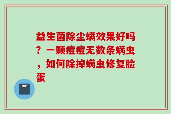 益生菌除尘螨效果好吗?一颗痘痘无数条螨虫,如何除掉螨虫修复脸蛋 益生菌除尘螨效果好吗?一颗痘痘无数条螨虫,如何除掉螨虫修复脸蛋