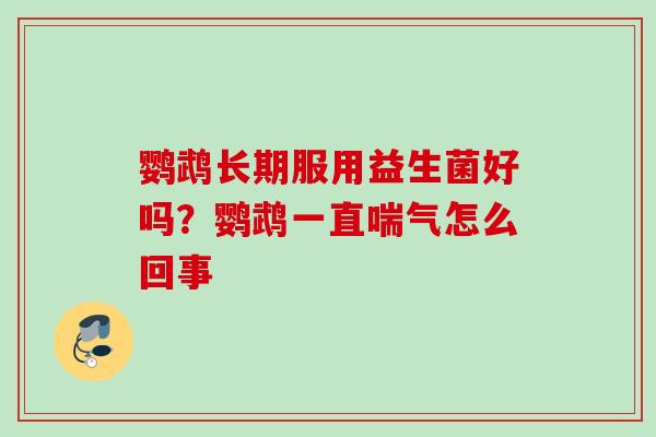 鹦鹉长期服用益生菌好吗?鹦鹉一直喘气怎么回事 鹦鹉长期服用益生菌好吗?鹦鹉一直喘气怎么回事