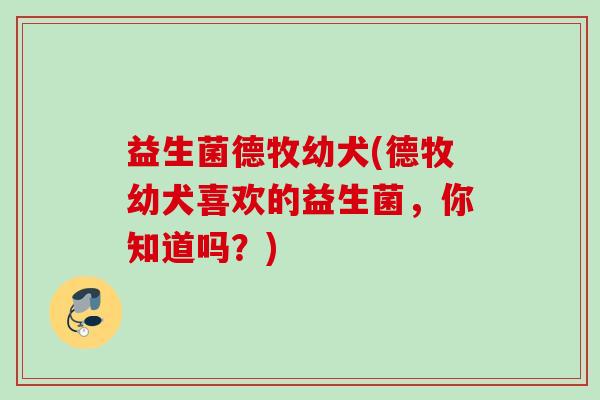 益生菌德牧幼犬(德牧幼犬喜欢的益生菌,你知道吗?) 益生菌德牧幼犬(德牧幼犬喜欢的益生菌,你知道吗?)