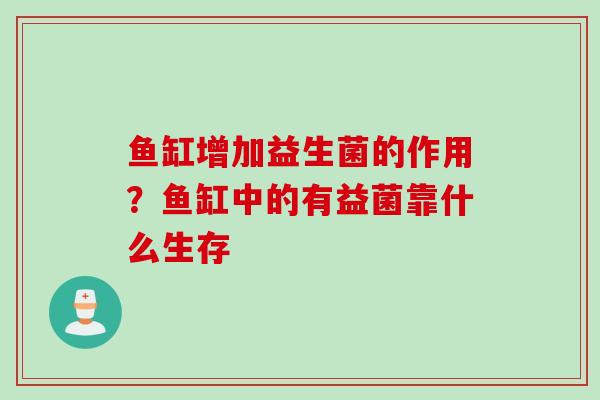 鱼缸增加益生菌的作用？鱼缸中的有益菌靠什么生存