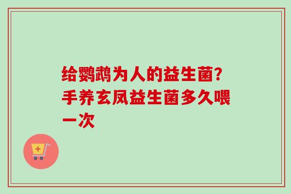给鹦鹉为人的益生菌?手养玄凤益生菌多久喂一次 给鹦鹉为人的益生菌?手养玄凤益生菌多久喂一次