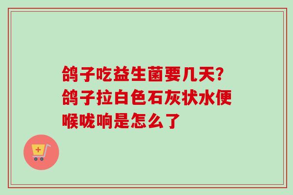 鸽子吃益生菌要几天？鸽子拉白色石灰状水便喉咙响是怎么了