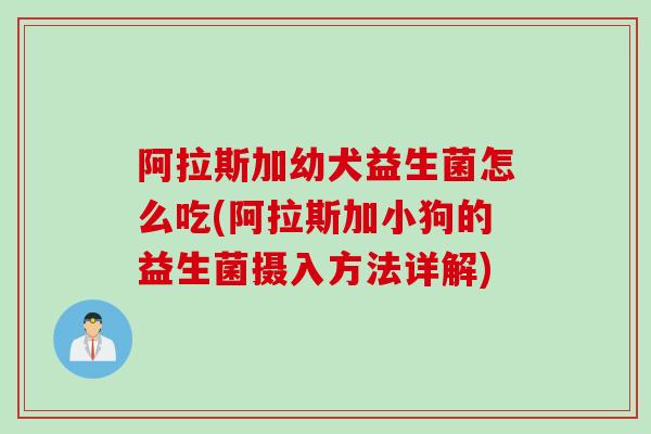 阿拉斯加幼犬益生菌怎么吃(阿拉斯加小狗的益生菌摄入方法详解) 阿拉斯加幼犬益生菌怎么吃(阿拉斯加小狗的益生菌摄入方法详解)