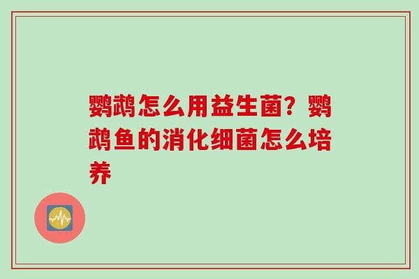 鹦鹉怎么用益生菌?鹦鹉鱼的消化怎么培养 鹦鹉怎么用益生菌?鹦鹉鱼的消化怎么培养