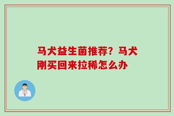 马犬益生菌推荐？马犬刚买回来拉稀怎么办