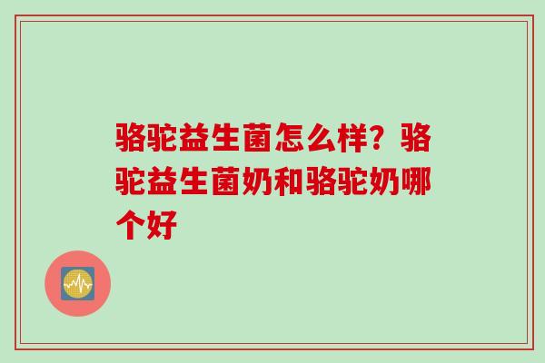 骆驼益生菌怎么样?骆驼益生菌奶和骆驼奶哪个好 骆驼益生菌怎么样?骆驼益生菌奶和骆驼奶哪个好