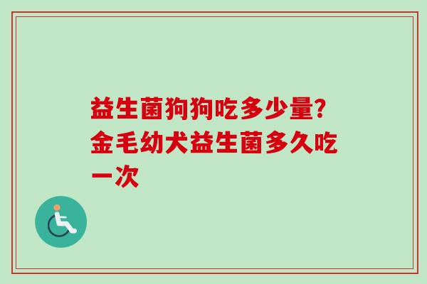 益生菌狗狗吃多少量？金毛幼犬益生菌多久吃一次